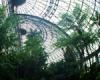 夢の島熱帯植物館
