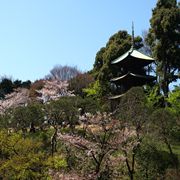 椿山荘の三重塔