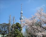 めぐり旅inスカイツリー