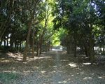 夢の島公園