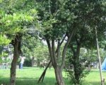 江東区立若洲公園