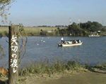 矢切の渡し[レジャー・その他]