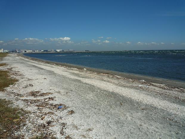 ふなばし三番瀬海浜公園