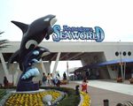 鴨川シーワールド[テーマパーク・遊園地]