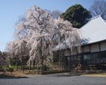 慈眼寺