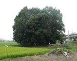 宮塚古墳