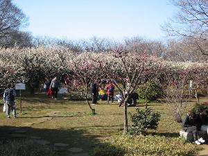 赤塚溜池公園周辺