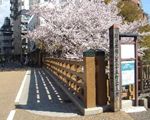 板橋