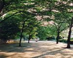 赤羽緑道公園