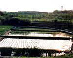 赤羽自然観察公園