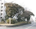 西ヶ原一里塚