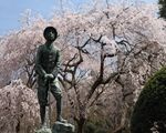 秩父宮記念公園
