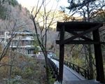 山水観湯川荘