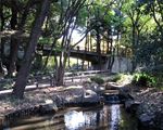 林試の森公園