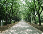 辰巳の森緑道公園