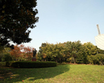 北の丸公園