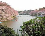 ボート場