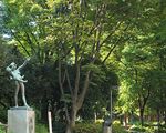 新宿中央公園[公園]
