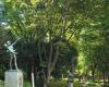 新宿中央公園[公園]