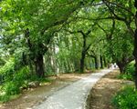 外濠公園