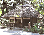 小石川後楽園[庭園・植物園]