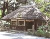 小石川後楽園[庭園・植物園]