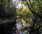 占春園[公園]