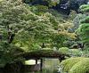六義園[公園]