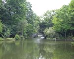 石神井公園