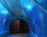 エプソン 品川アクアスタジアム[動物園・水族館]