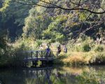 国立科学博物館附属自然教育園[公園/動物生息地・植物群生地]