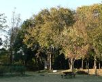 東京港野鳥公園