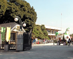 JRA馬事公苑[公園]