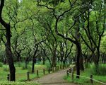 羽根木公園