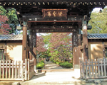 豪徳寺