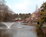 井の頭恩賜公園
