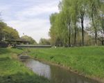 都立野川公園