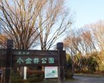 小金井公園