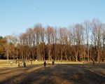 いこいの広場