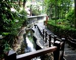 お鷹の道・真姿の池湧水群