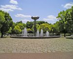 府中の森公園