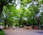 武蔵野公園