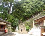 高尾山自然研究路