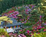 塩船観音寺
