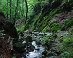 御岳山ロックガーデン