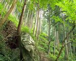 鳩ノ巣渓谷