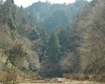 都立小峰公園