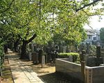 谷中霊園