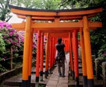 文京区・本郷・根津・千駄木