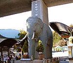日野・多摩動物公園周辺